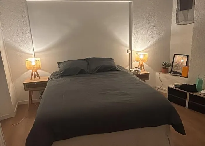 Apartment Le Refuge Du Castillet *